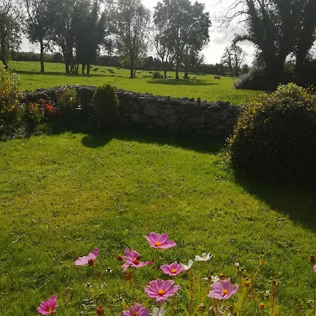 Holiday home Quaint Secluded Close To Beautiful Kinvara Gort