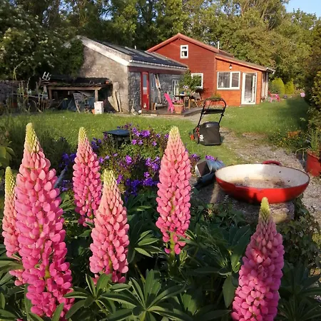 Quaint Secluded Close To Beautiful Kinvara 펜션 *